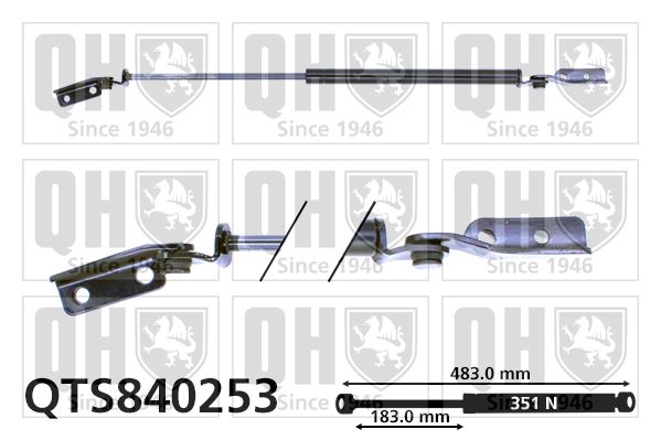 QUINTON HAZELL Gāzes atspere, Bagāžas/Kravas nodalījuma vāks QTS840253